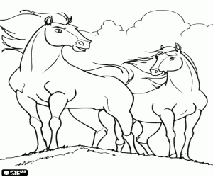 Spirit en Rain, paard en merrie kleurplaat