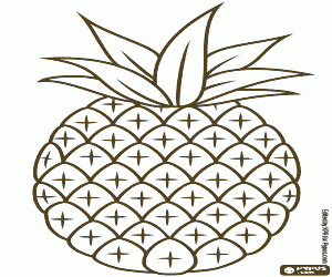Een tropische ananas, eenvoudige tekening kleurplaat