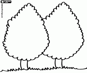 Twee cipressen, Cupressus kleurplaat