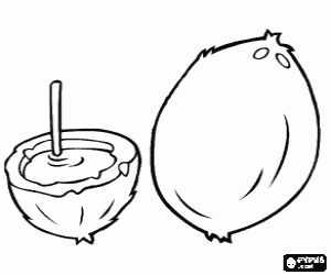 Twee kokosnoten kleurplaat