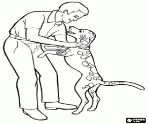 Een vader met zijn hond, Vaderdag kleurplaat