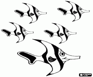 Vele vissen en koraalriffen kleurplaat