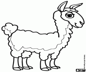 Een vicuña uit de Andes kleurplaat