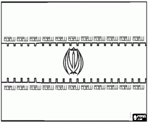 Vlag van Iran kleurplaat