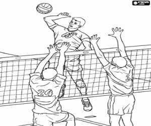 Volleybal spelers in de buurt van het net kleurplaat
