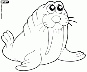 Walrus kleurplaat