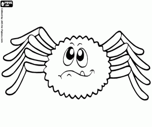 Woestijn spin kleurplaat