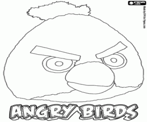 Yellow Bird en Angry Bird kleurplaat
