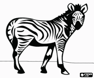 Zebra, wilde dieren kleurplaat